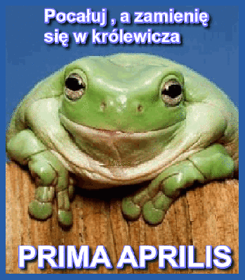 Uśmiechająca się żaba na Prima Aprilis